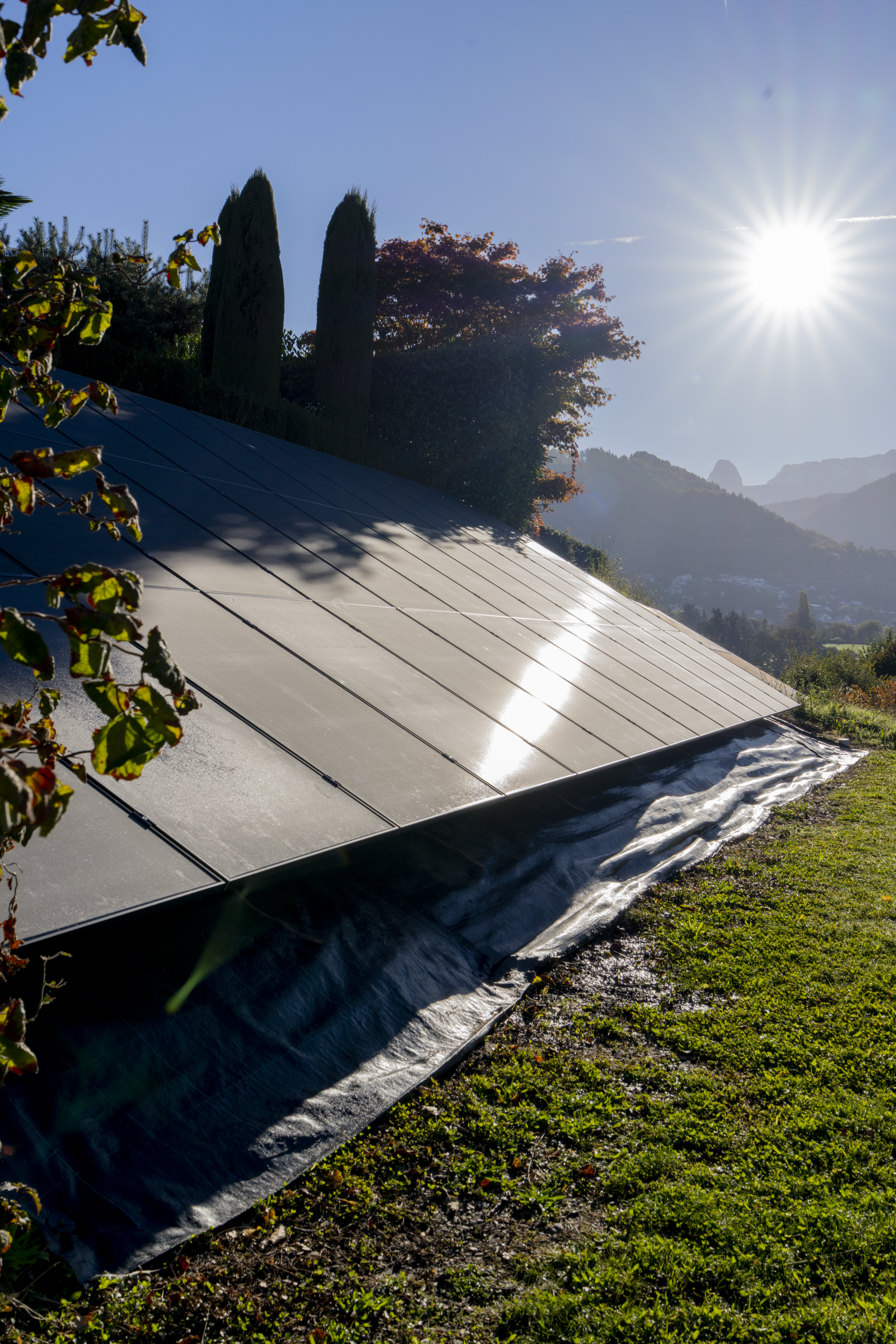 Solar Green Power